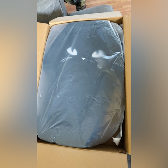 Dolls Kill x Emily the Strange Black Cat/Small Dog Coffin Bed ~20” x ~30” x ~7” - Picture 11 of 11